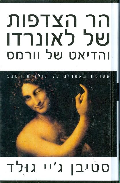 הר הצדפות של לאונרדו