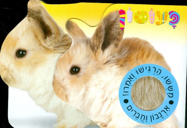 ארנבון וחברים