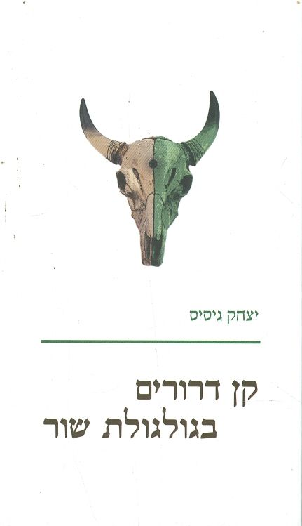 קן דרורים בגולגולת שור מאת יצחק גיסיס