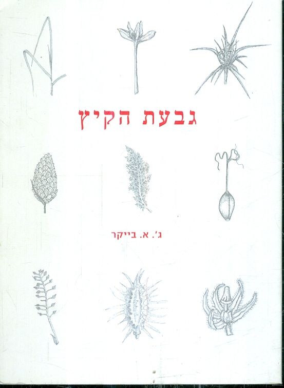 גבעת הקיץ מאת ג א בייקר