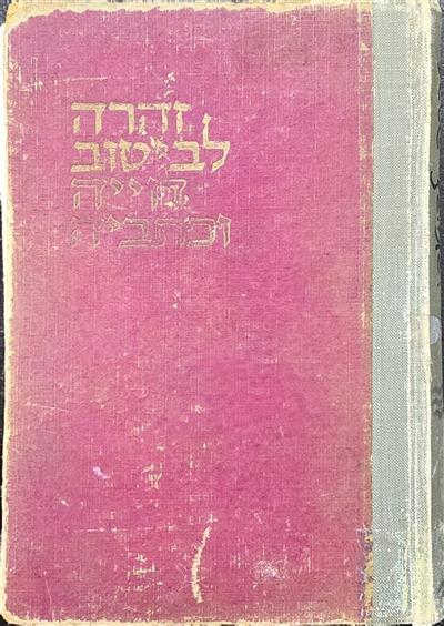 זהרה לביטוב חייה וכתביה