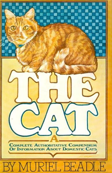 the cat