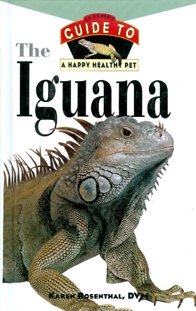 the iguana
