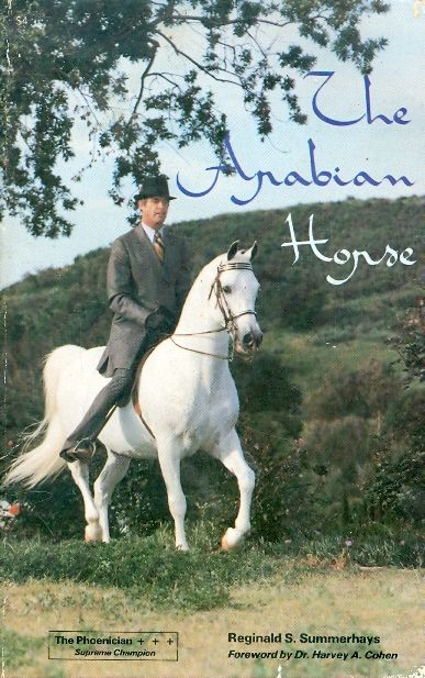 the arabian horse