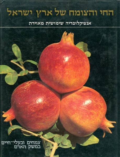 החי והצומח של ארץ ישראל כרך 12 צמחים ובעלי חיים במ