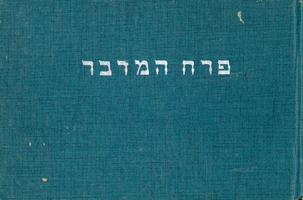 פרח המדבר