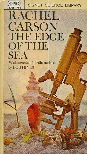 the edge of the sea