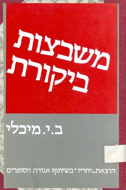 משבצות ביקורת