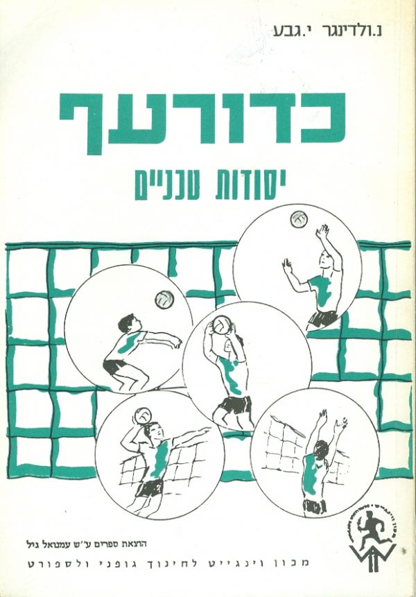 כדור עף יסודות טכניים