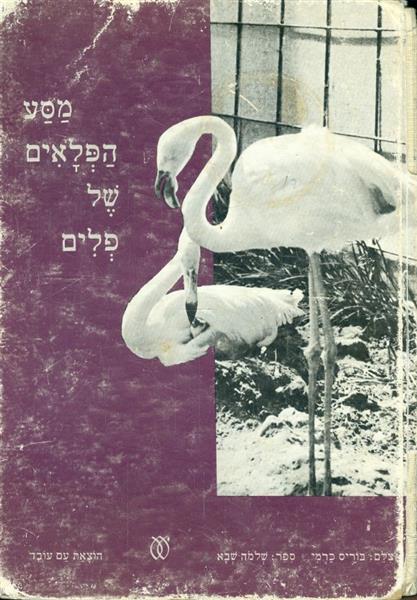 מסע הפלאים של פלים