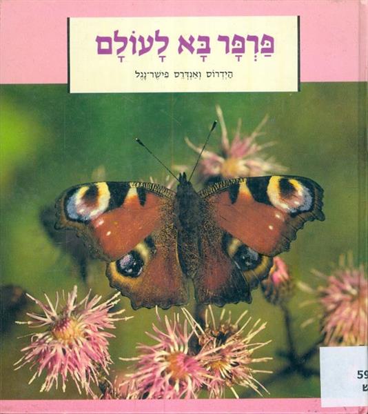 פרפר בא לעולם