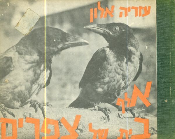 אלף בית של צפרים