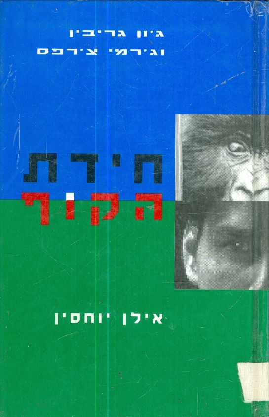 חידת הקוף אילן יוחסין