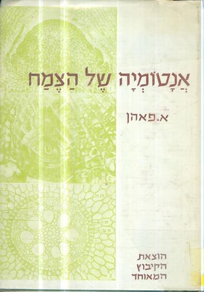 אנטומיה של הצמח