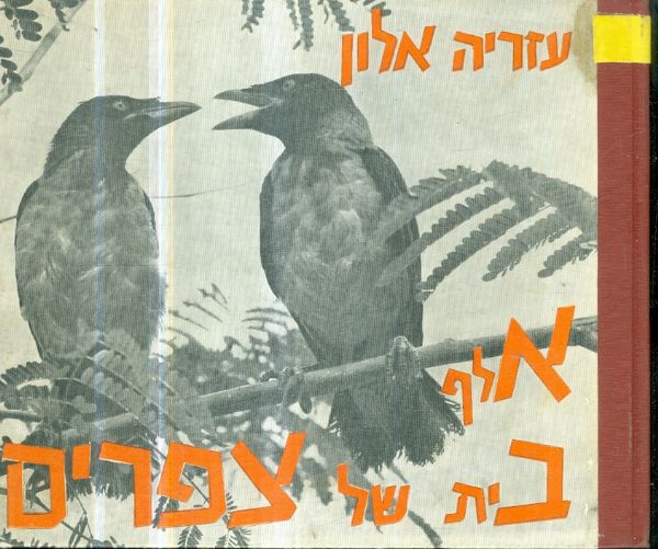 אלף בית של צפרים