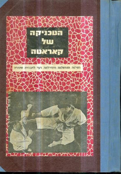 הטכניקה של קאראטה