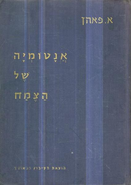 אנטומיה של הצמח