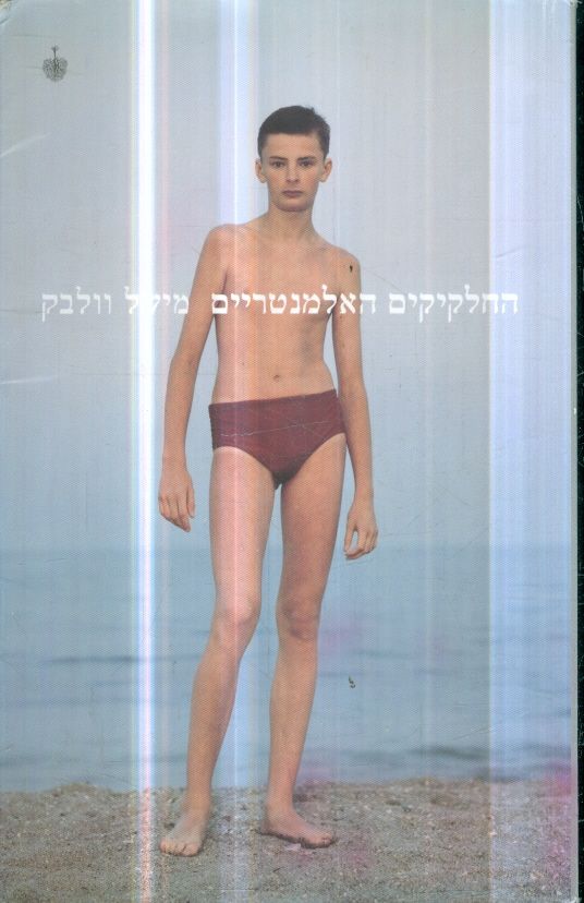 החלקיקים האלמנטריים