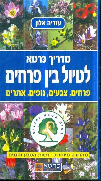 מדריך כרטא לטיול בין פרחים