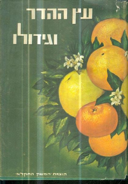 עץ ההדר וגידולו