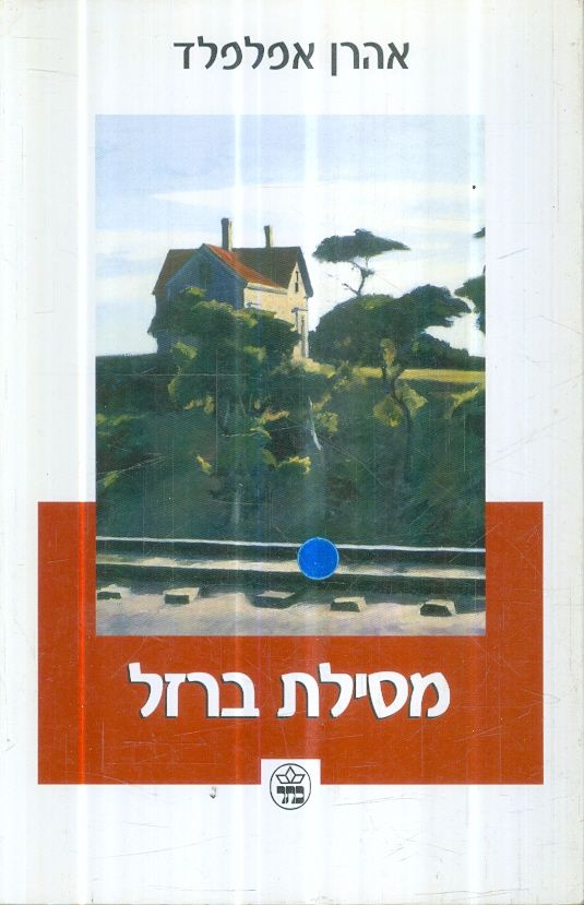 מסילת ברזל