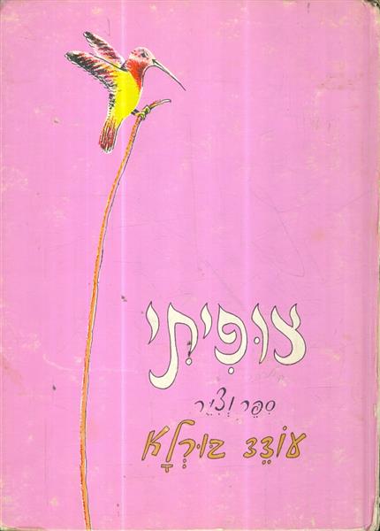 צופיתי