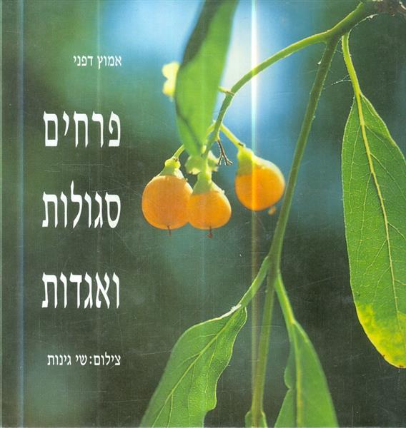 פרחים סגולות ואגדות מאת אמוץ דפני