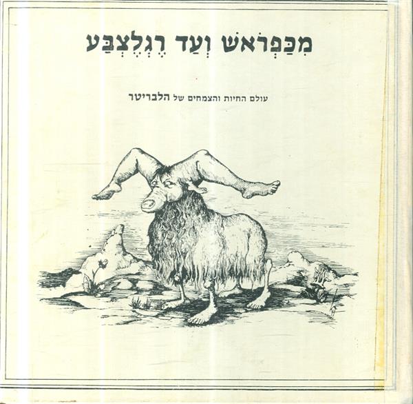 מכפראש עד רגלצבע