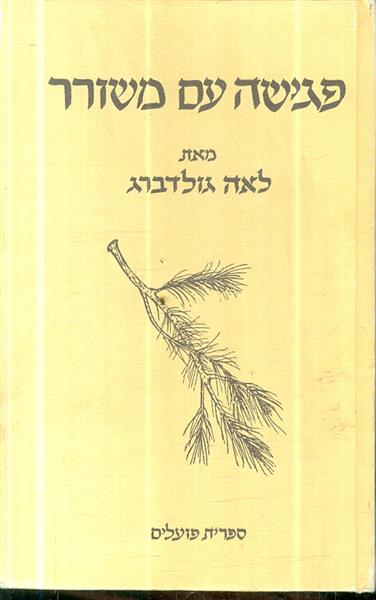 פגישה עם משורר