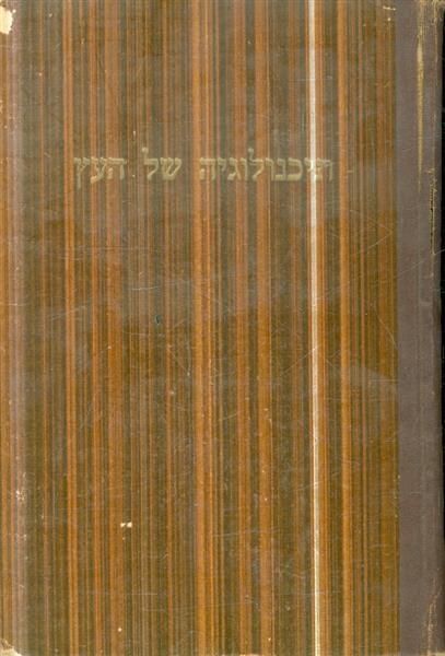 תיכנולוגיה של העץ