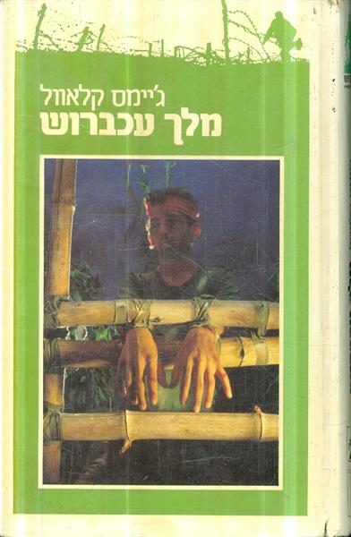 מלך עכברוש