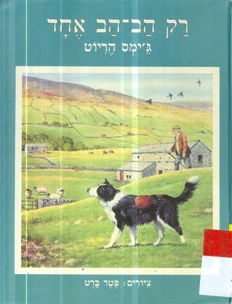 רק הב הב אחד