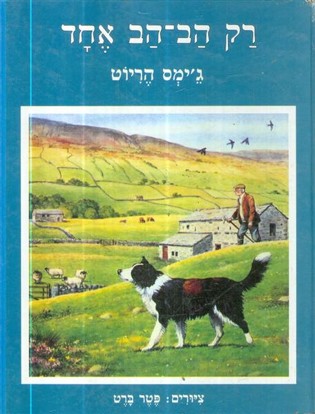 רק הב הב אחד