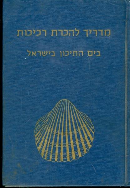 מדריך להכרת רכיכות בים התיכון בישראל