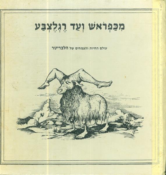 מכפראש עד רגלצבע