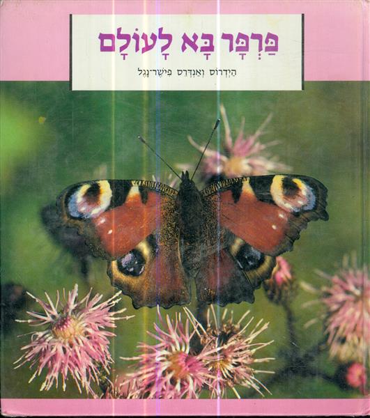פרפר בא לעולם