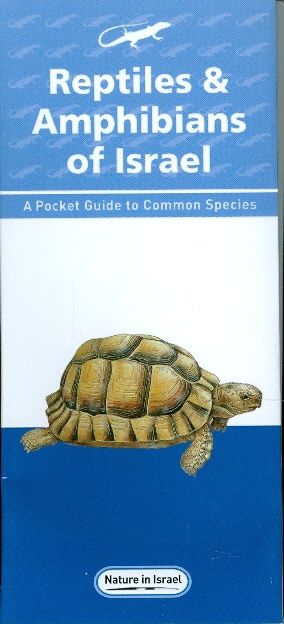 reptiles amphibians of israel