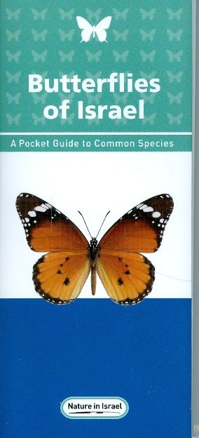 butterflies of israel