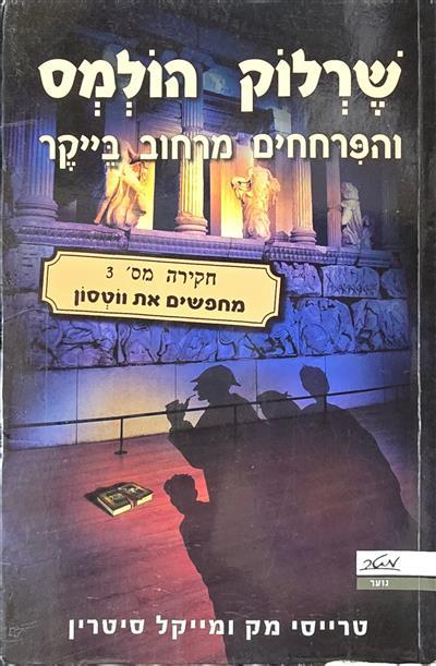 שרלוק הולמס והפרחחים מרחוב בייקר חקירה מס 3
