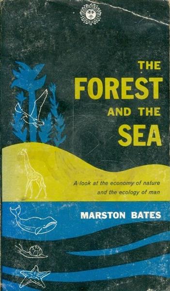 the forest  and the sea