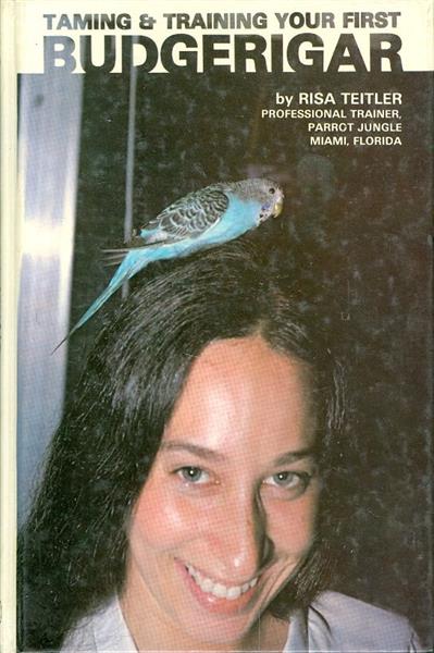 taming and training your first budgerigar