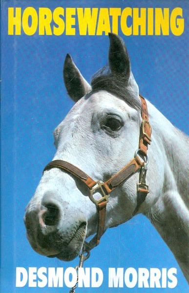 horsewatching