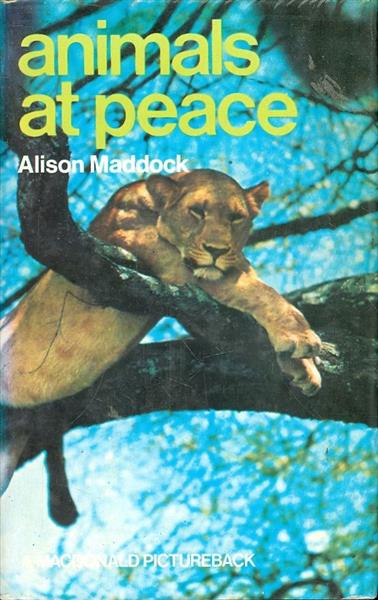 animals at peace