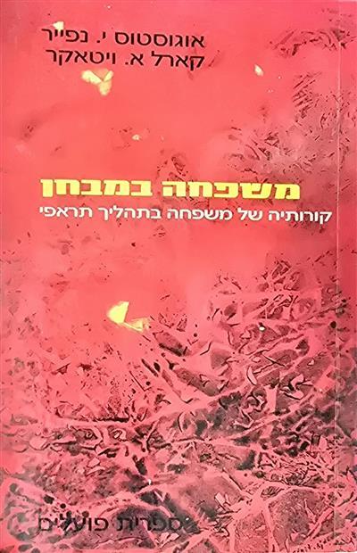 משפחה במבחן - קורותיה של משפחה בתהליך תראפי