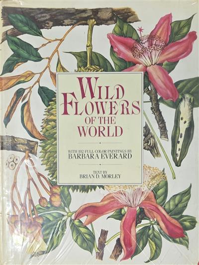 Wild Flowers