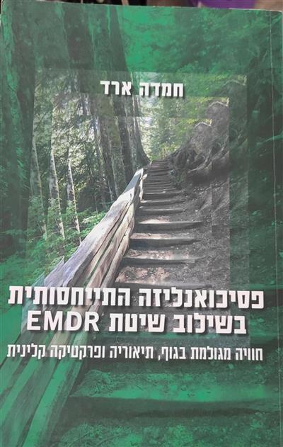פסיכואנליזה ההתייחסותית בשילוב 