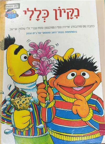נקיון כללי 