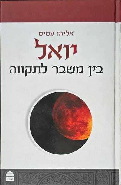 יואל בין משבר לתקווה