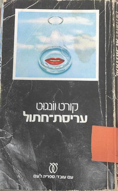 עריסת חתול